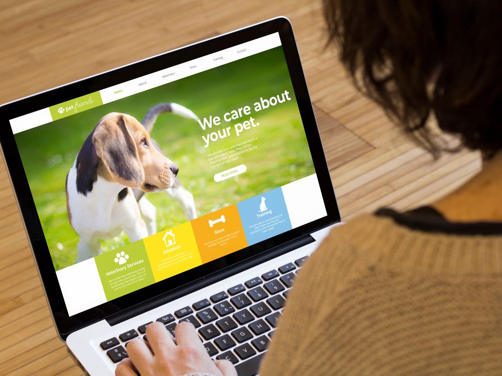 Sites antigamente e a evolução da web até hoje